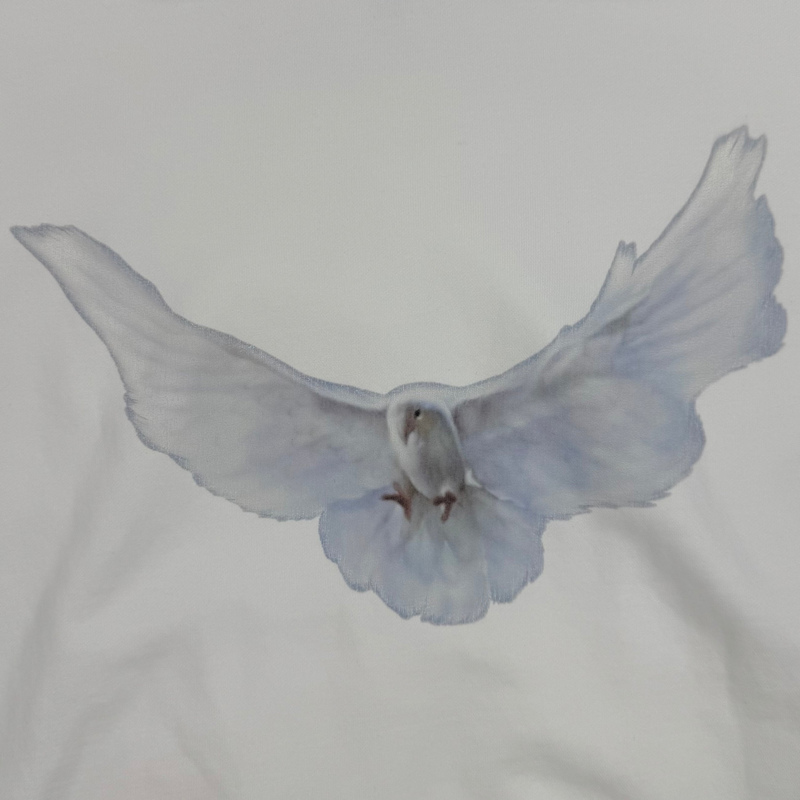 YGEBB 2022 Double Layered Dove Hoodie In White