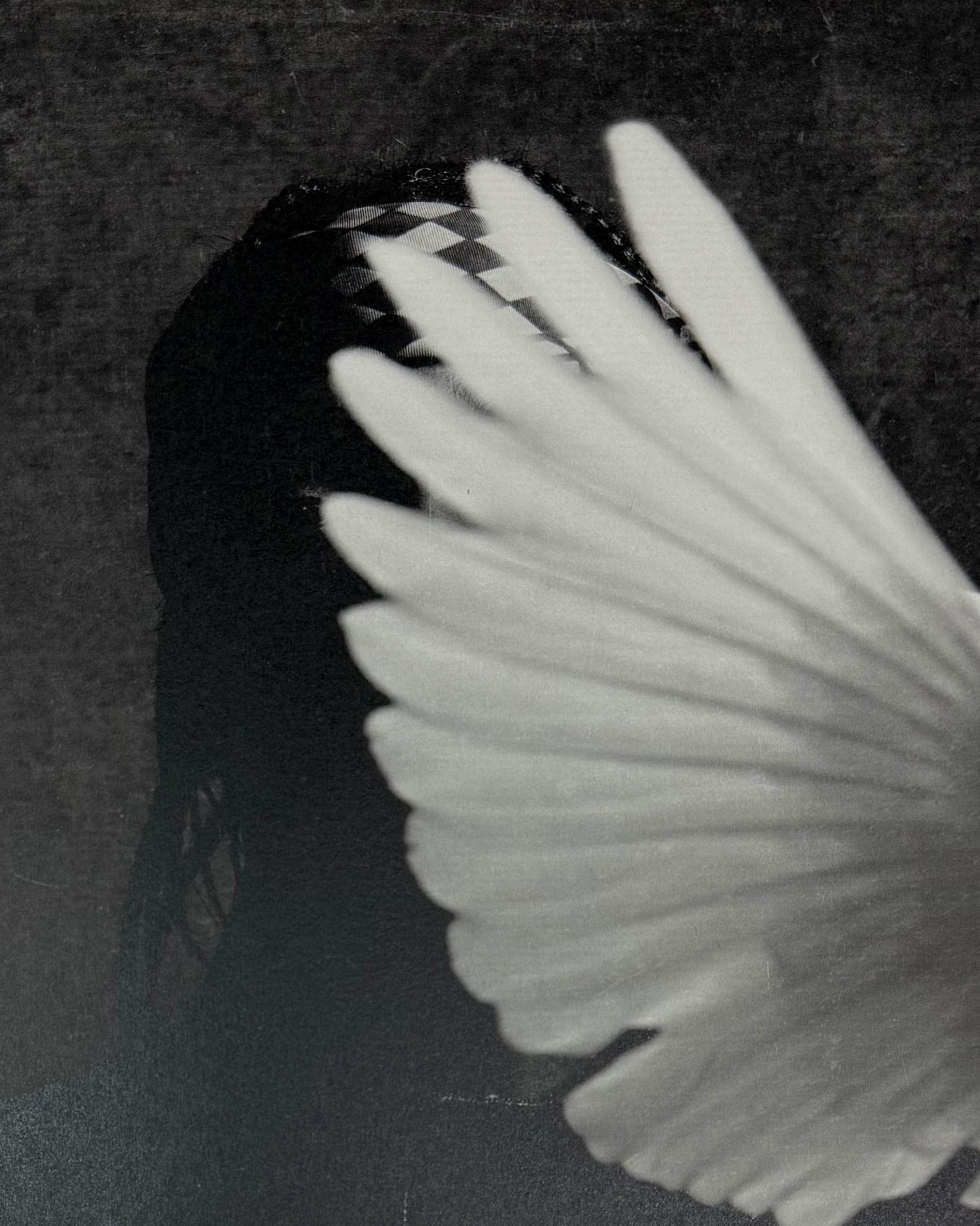 YZY 2015 'Darkest Before Dawn' Zine By Fabien Montique