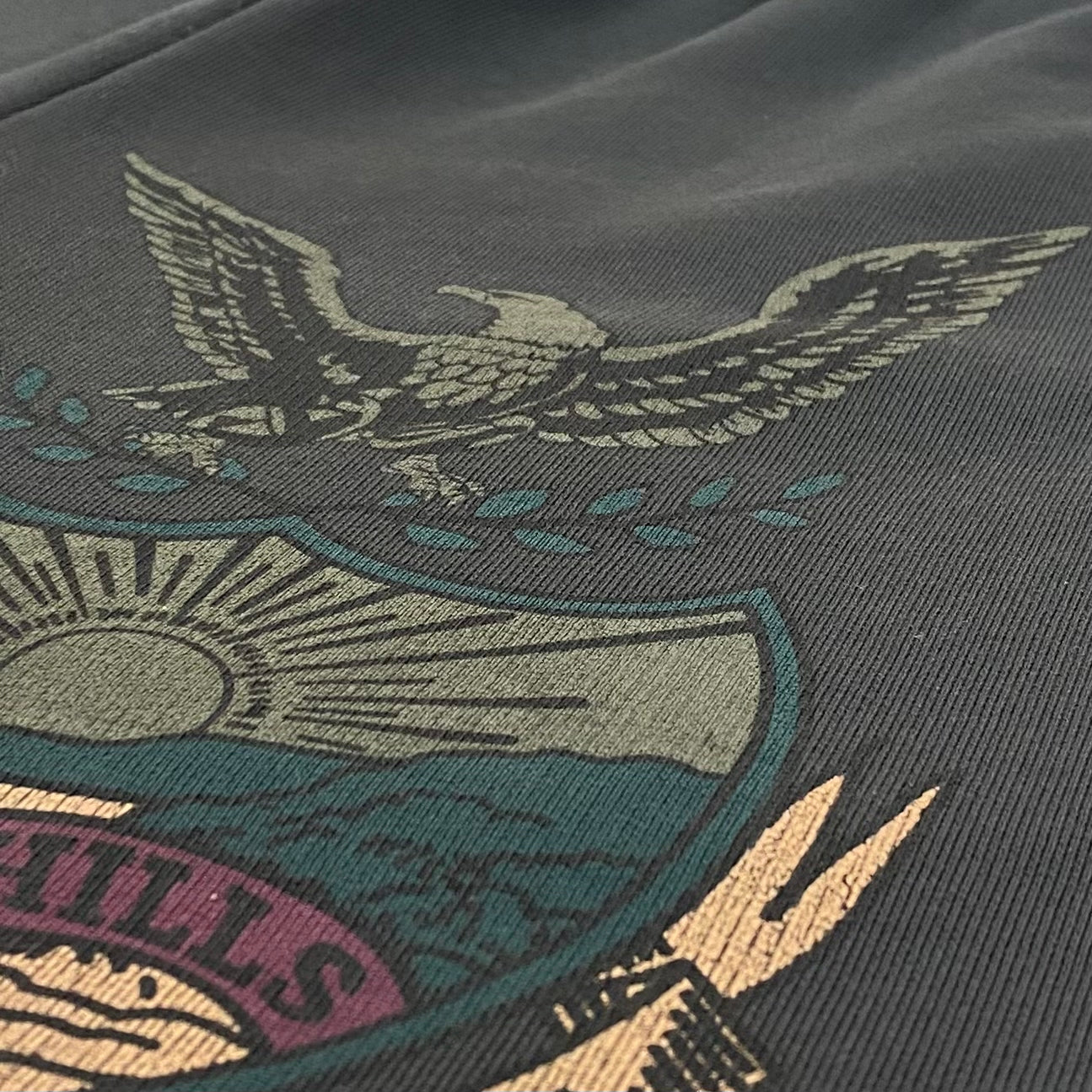 YZY 2017 Calabasas Crest Fleece Shorts In Akon