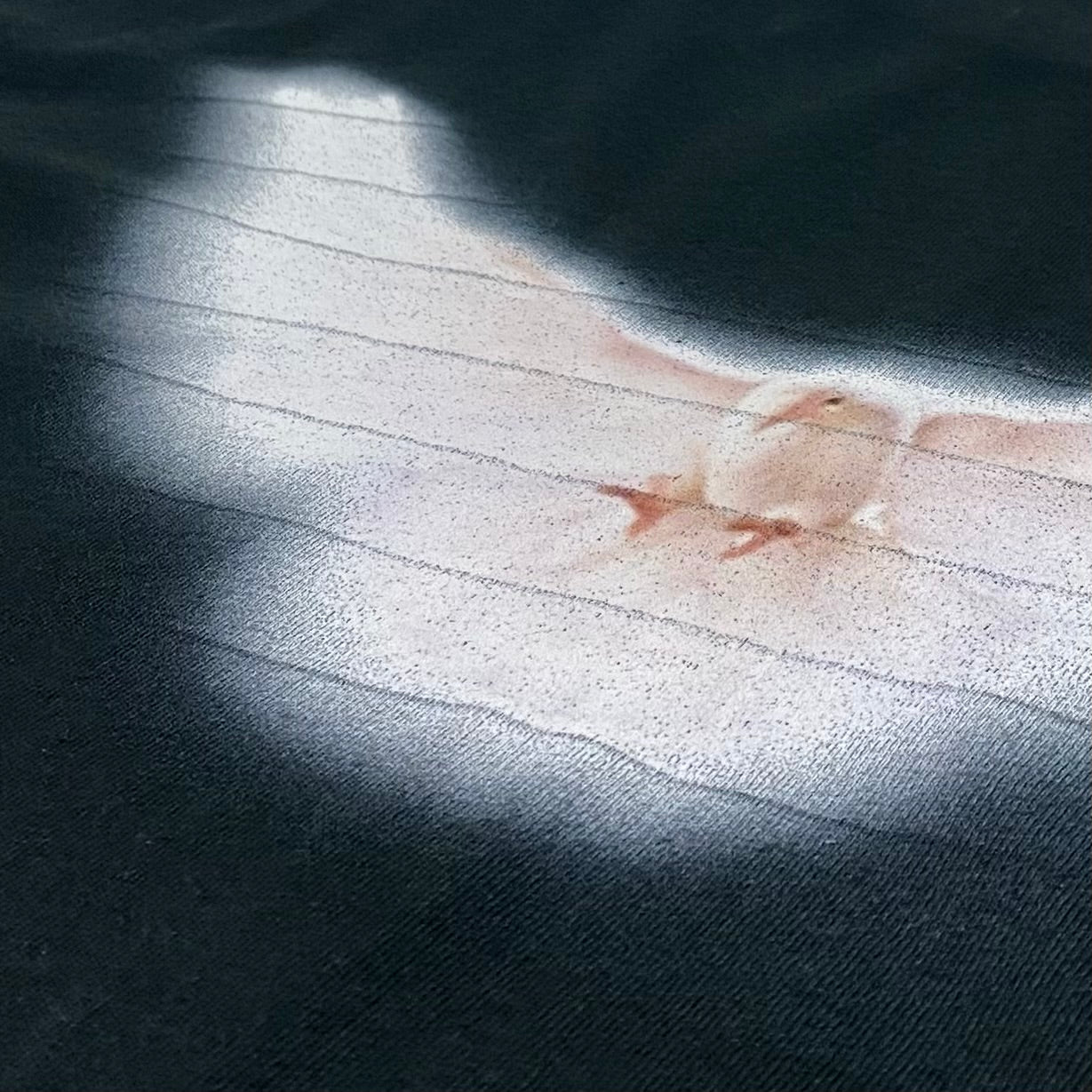 YZY GAP 2022 OG Reference Dove Tee By Betsy Johnson