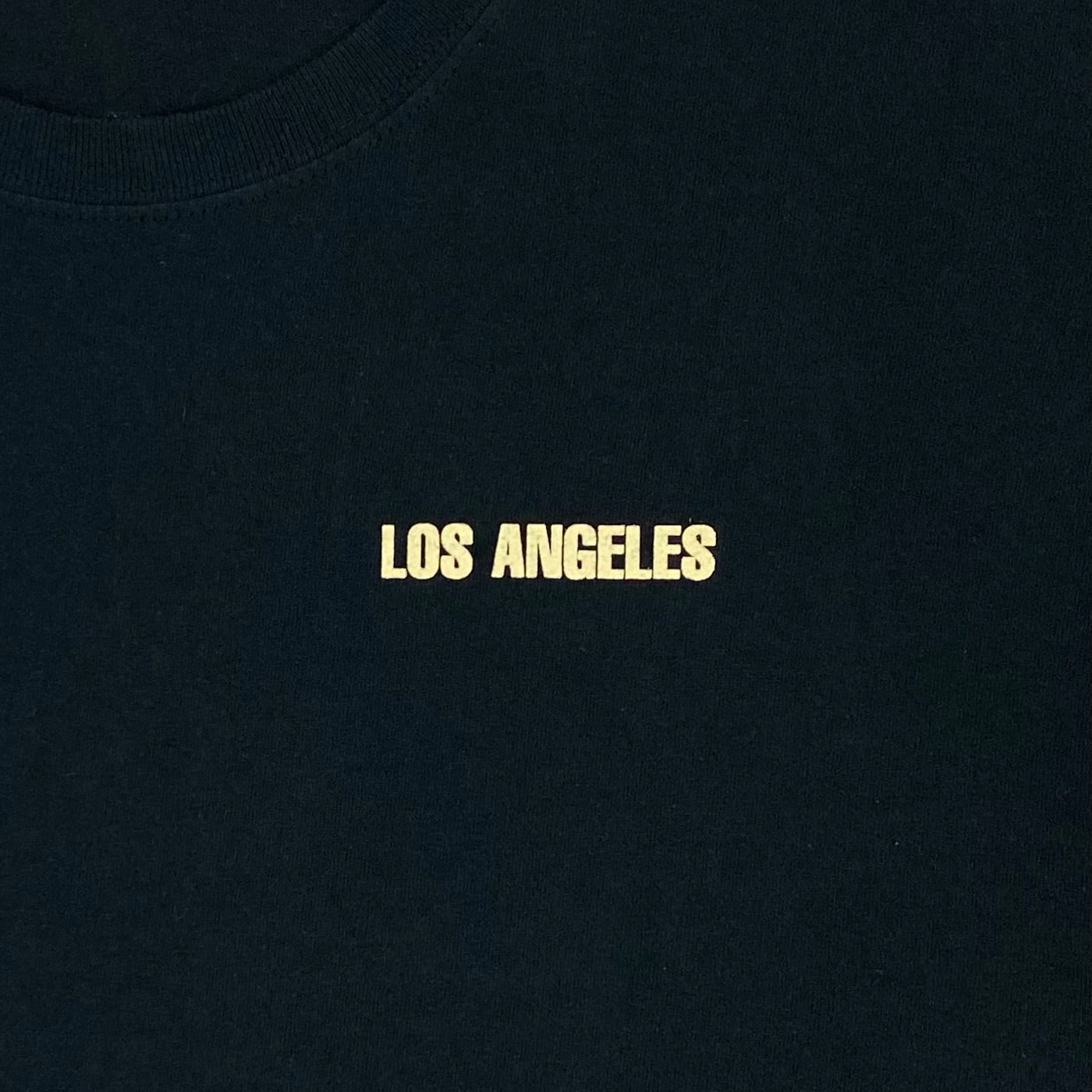 TLOP 2016 Saint Pablo The Forum Photo Tee