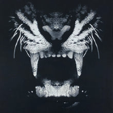 WTT 2012 Unreleased Stage Design Tee