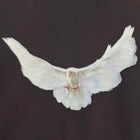 YGEBB 2022 Double Layered Dove Hoodie In Dark Grey