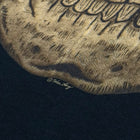 Yeezus 2015 Unreleased Skull Long Sleeve By Wes Lang