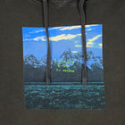 Ye 2018 Album Artwork Hoodie