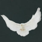 YGEBB 2022 Quarter Sleeve Dove Tee In Dark Green