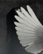 YZY 2015 'Darkest Before Dawn' Zine By Fabien Montique