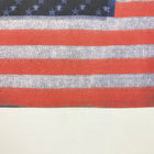 WTT 2012 USA Flag Tee In White