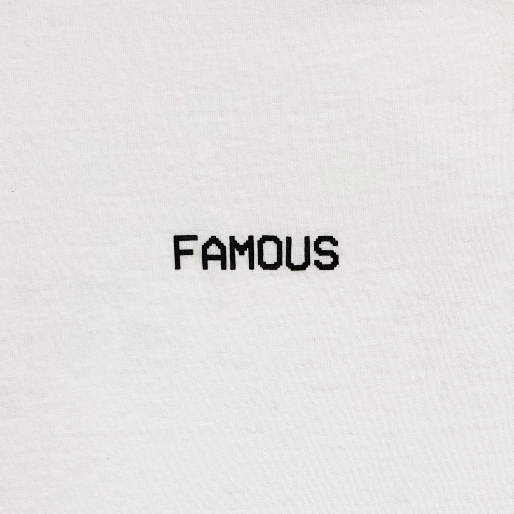 TLOP 2016 'Famous' Video Premier Tee
