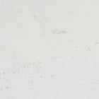 TLOP 2016 Los Angeles ’Facts’ Tee In White