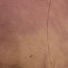 YZY 2019 Coachella Oxen Crewneck Sample