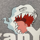 Graduation 2007 Takashi Murakami Hoodie