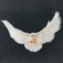 YGEBB 2022 Quarter Sleeve Dove Tee In Washed Black