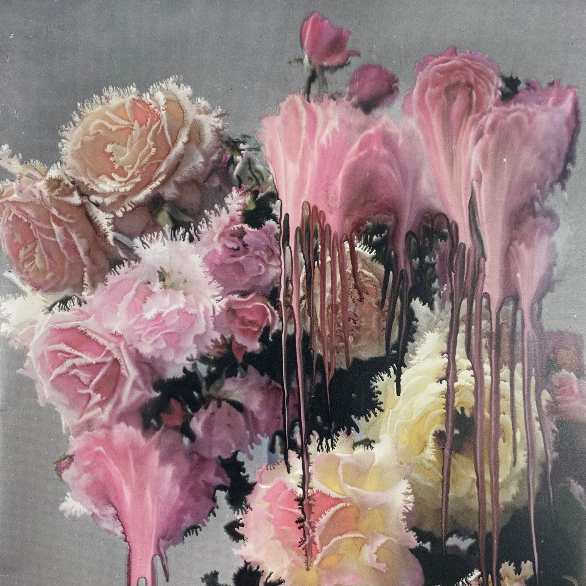 808’s & Heartbreak 2015 Hollywood Booklet