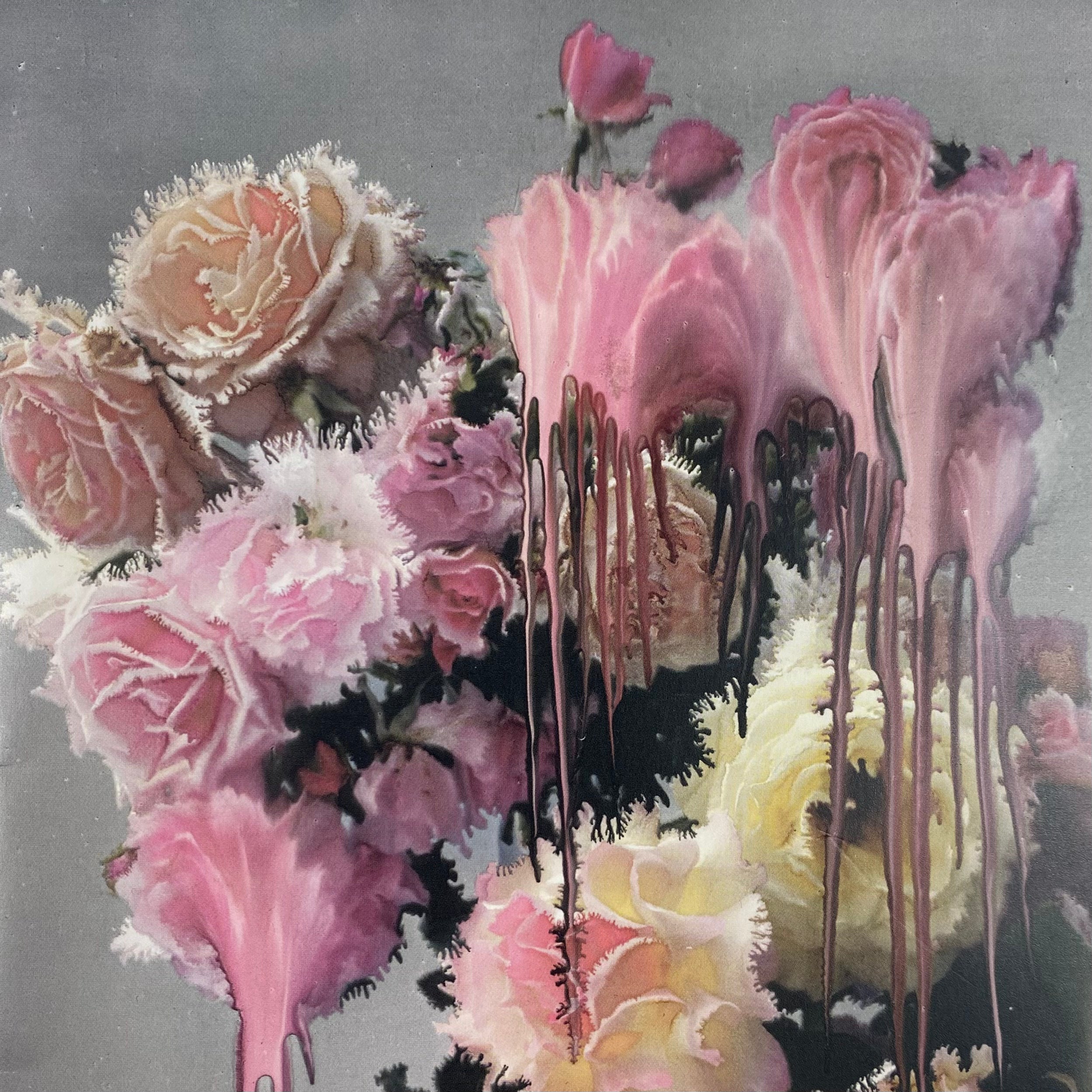 808’s & Heartbreak 2015 Hollywood Booklet